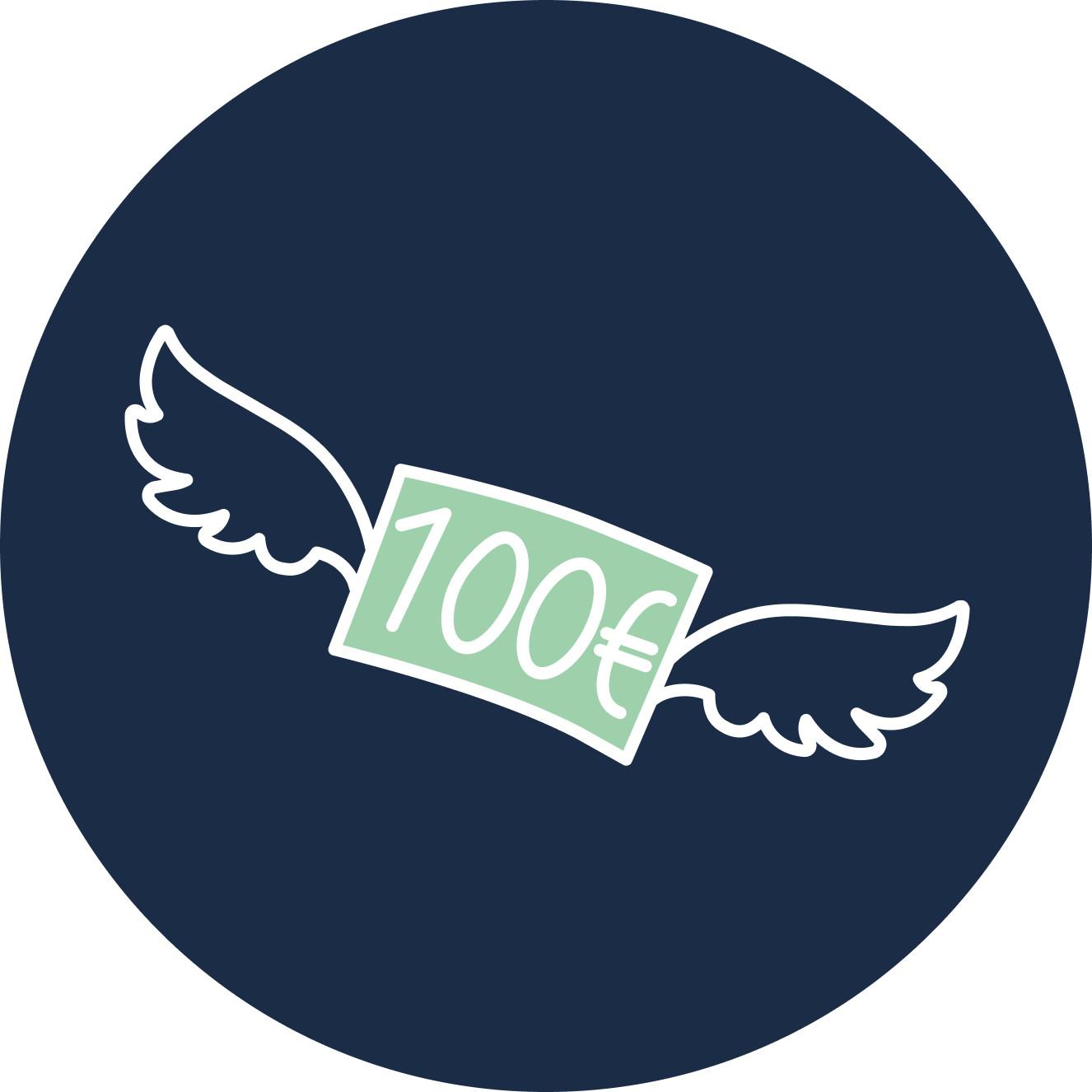 Geld verfliegt icon