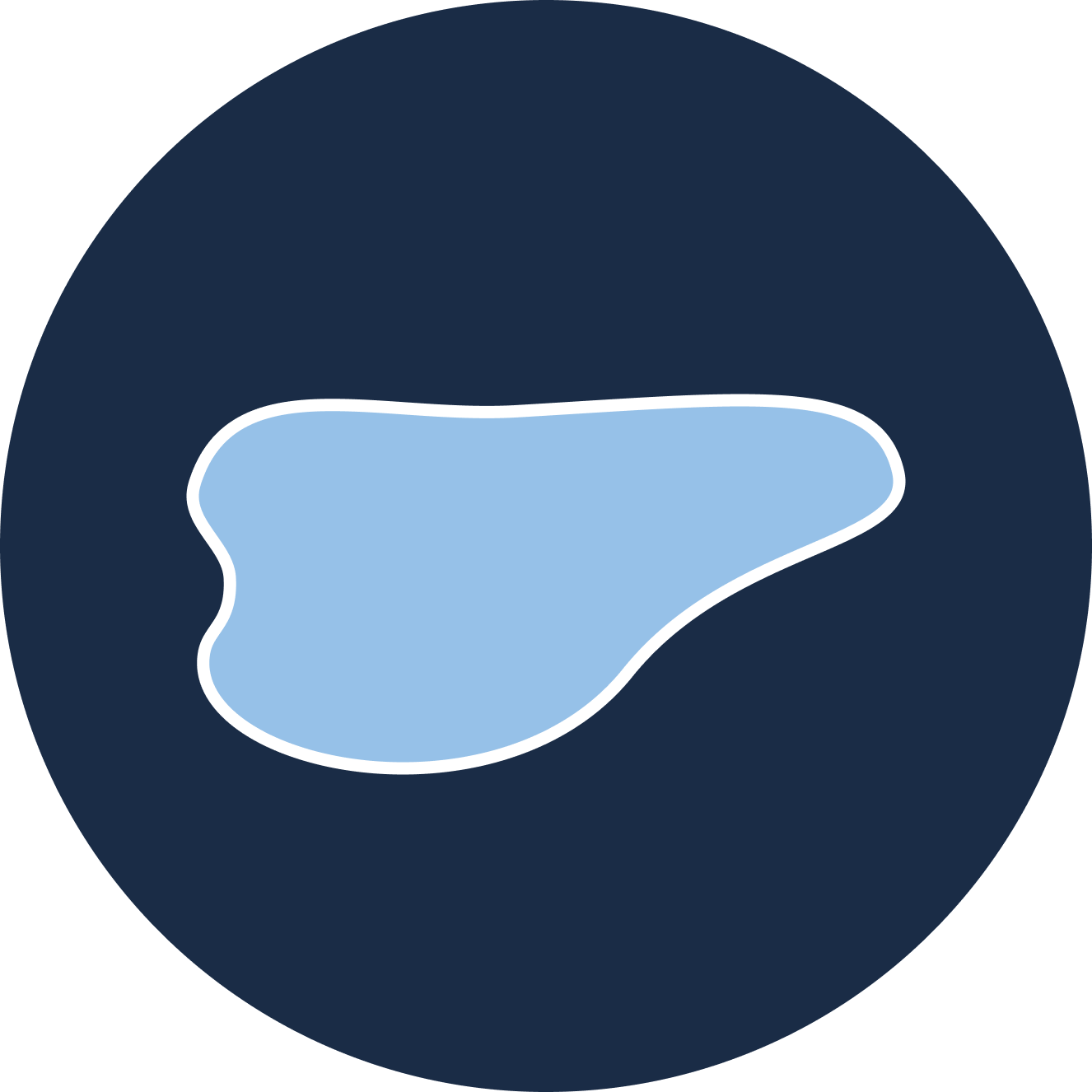 Pfuetze icon